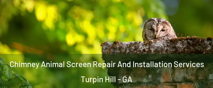 Chimney Animal Screen Repair And Installation Services Turpin Hill - GA