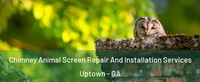 Chimney Animal Screen Repair And Installation Services Uptown - GA