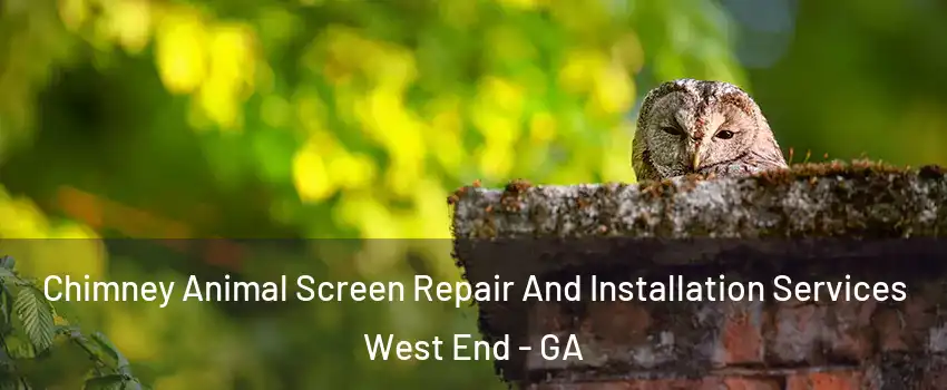 Chimney Animal Screen Repair And Installation Services West End - GA