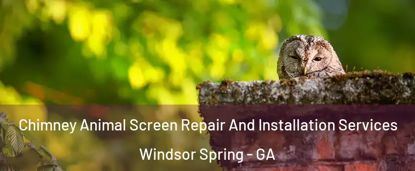 Chimney Animal Screen Repair And Installation Services Windsor Spring - GA