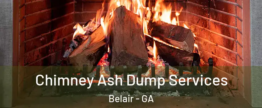 Chimney Ash Dump Services Belair - GA