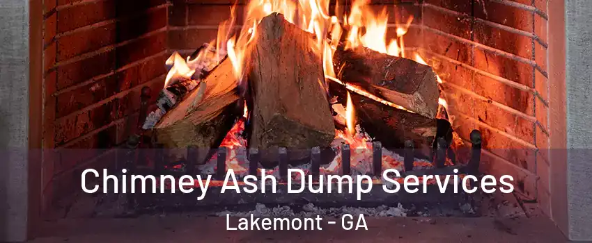 Chimney Ash Dump Services Lakemont - GA