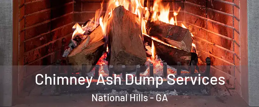 Chimney Ash Dump Services National Hills - GA