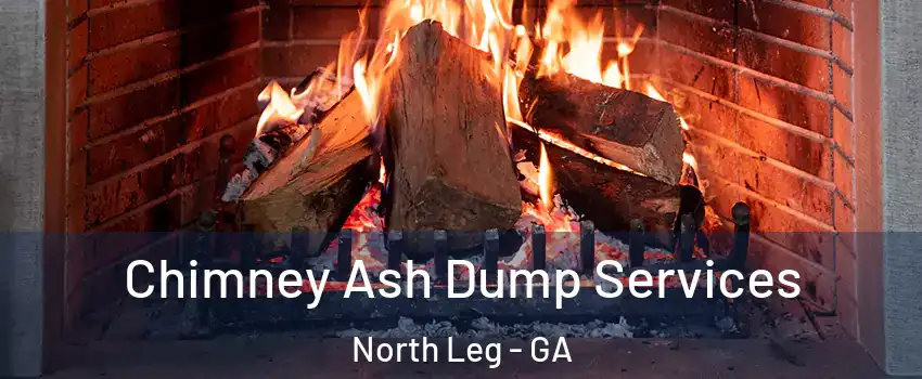 Chimney Ash Dump Services North Leg - GA