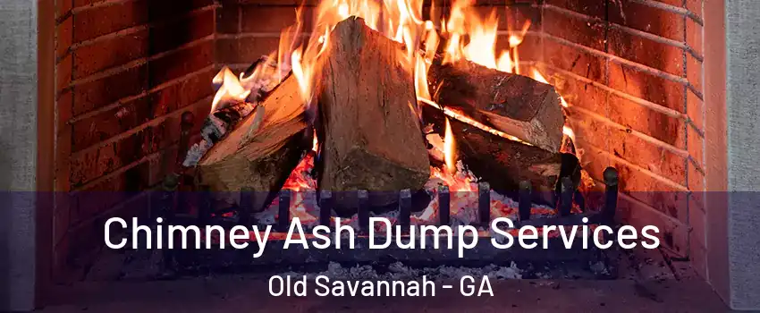Chimney Ash Dump Services Old Savannah - GA