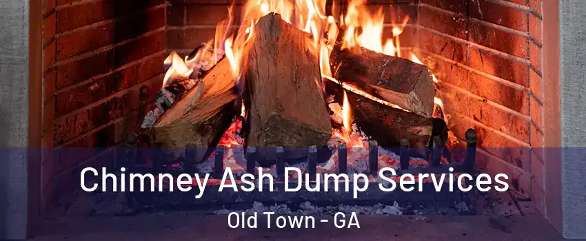 Chimney Ash Dump Services Old Town - GA