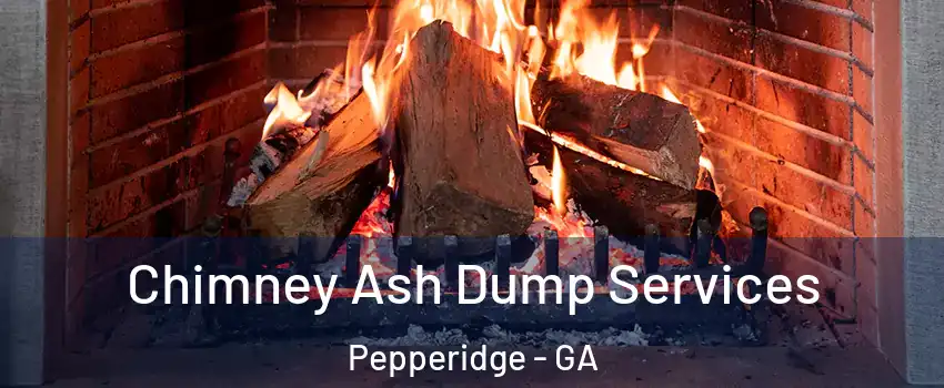 Chimney Ash Dump Services Pepperidge - GA