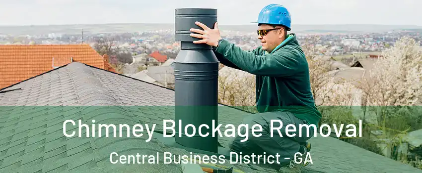 Chimney Blockage Removal Central Business District - GA
