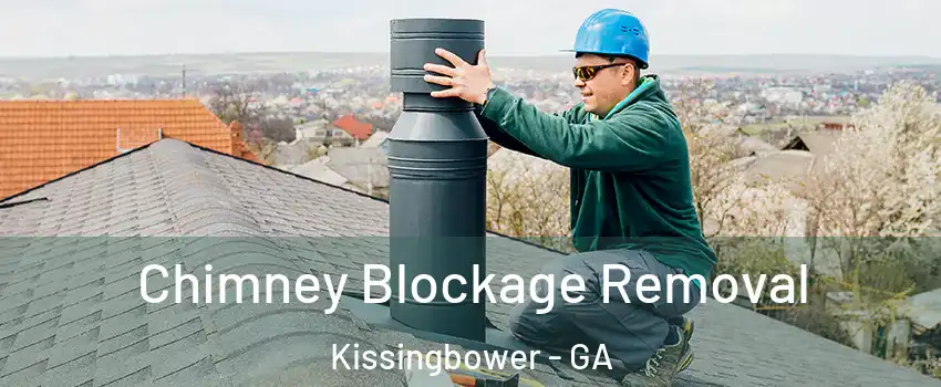 Chimney Blockage Removal Kissingbower - GA