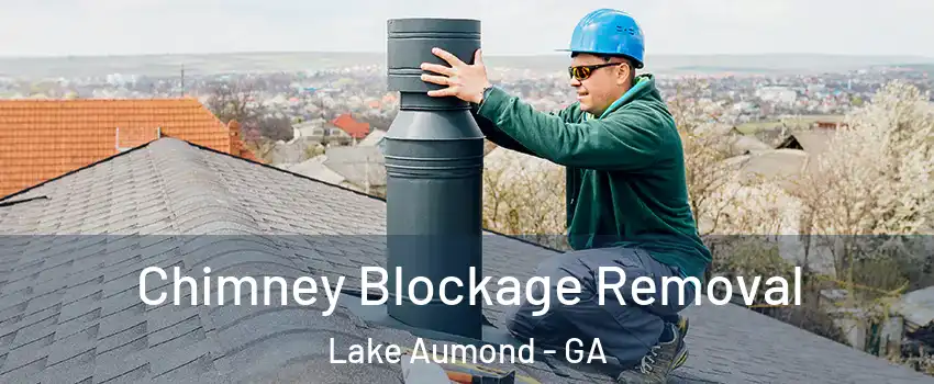Chimney Blockage Removal Lake Aumond - GA