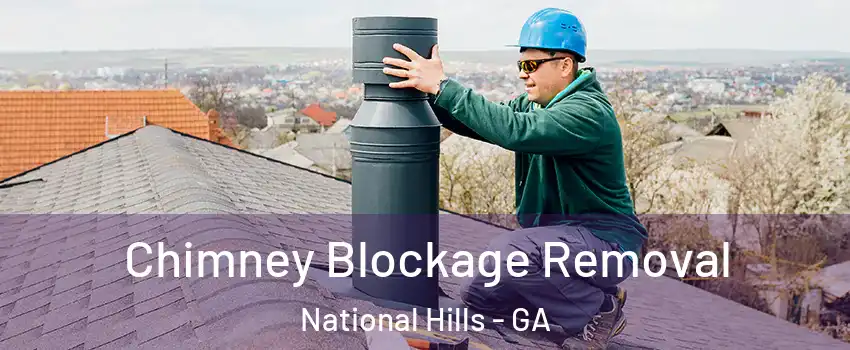 Chimney Blockage Removal National Hills - GA