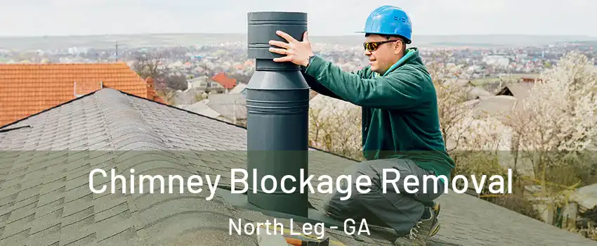 Chimney Blockage Removal North Leg - GA