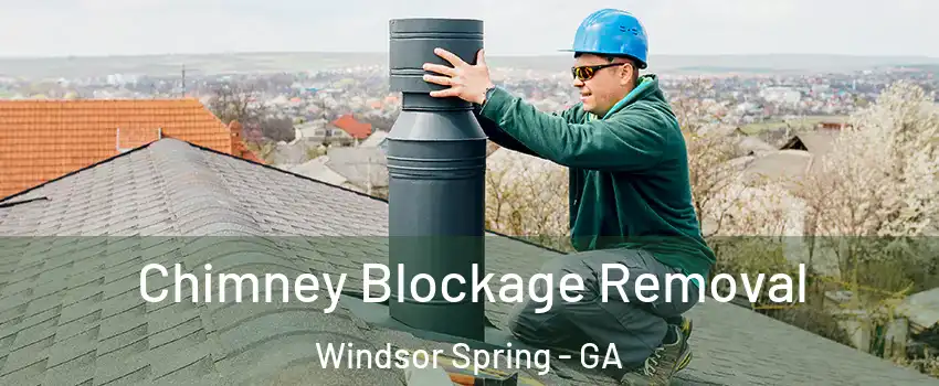 Chimney Blockage Removal Windsor Spring - GA