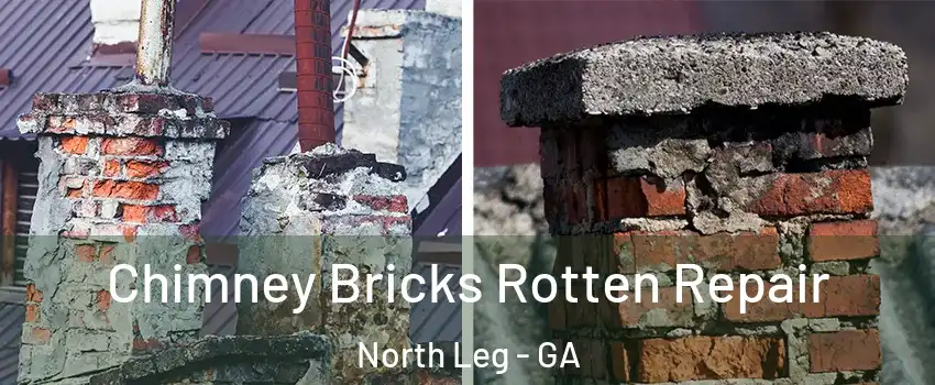 Chimney Bricks Rotten Repair North Leg - GA