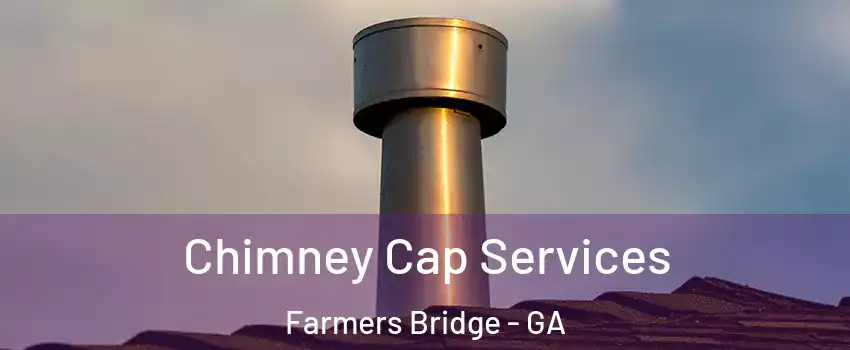 Chimney Cap Services Farmers Bridge - GA