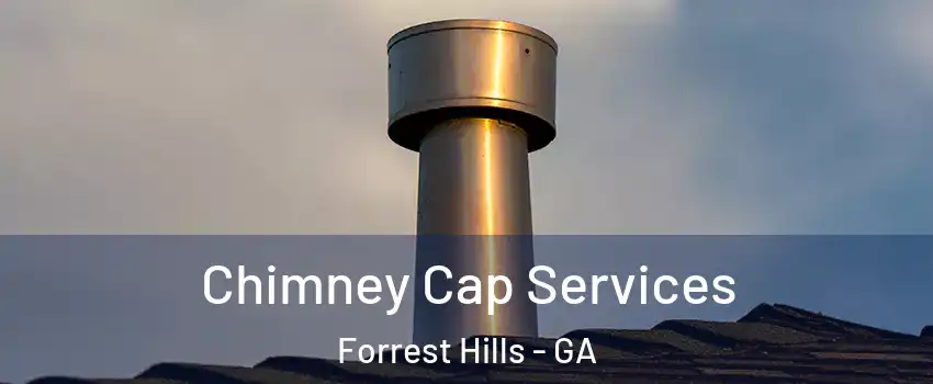 Chimney Cap Services Forrest Hills - GA