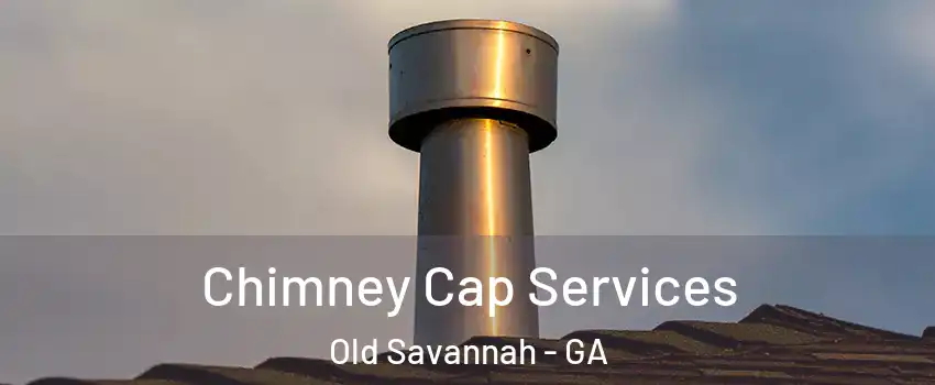 Chimney Cap Services Old Savannah - GA