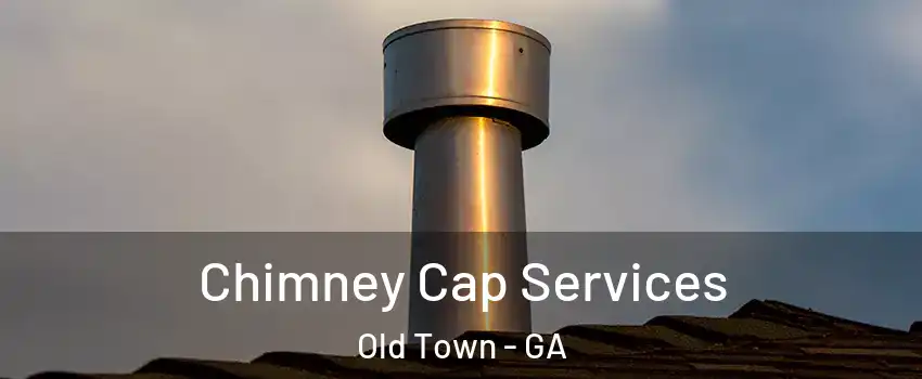 Chimney Cap Services Old Town - GA