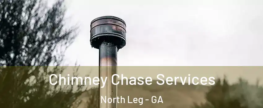 Chimney Chase Services North Leg - GA