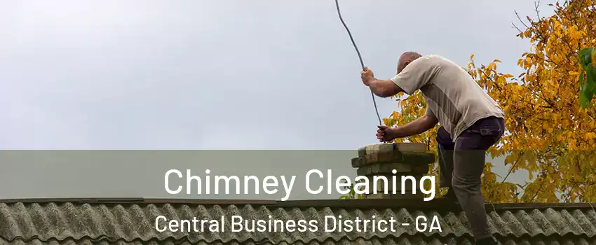 Chimney Cleaning Central Business District - GA