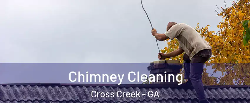 Chimney Cleaning Cross Creek - GA