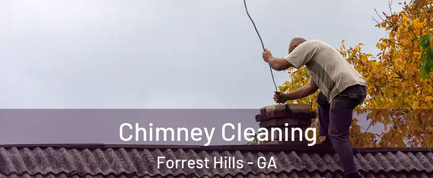 Chimney Cleaning Forrest Hills - GA