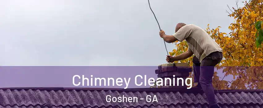 Chimney Cleaning Goshen - GA