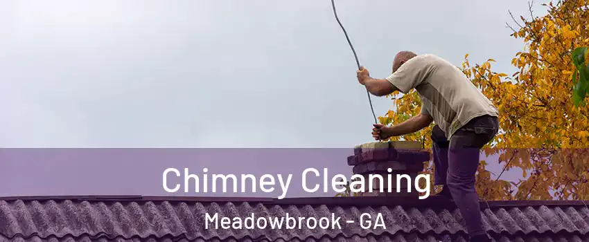 Chimney Cleaning Meadowbrook - GA