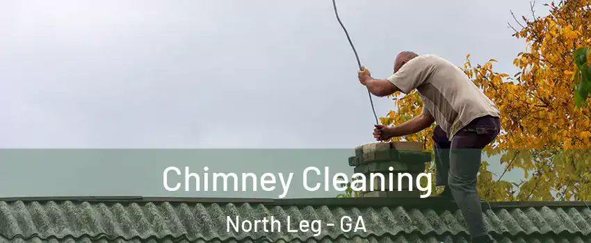 Chimney Cleaning North Leg - GA