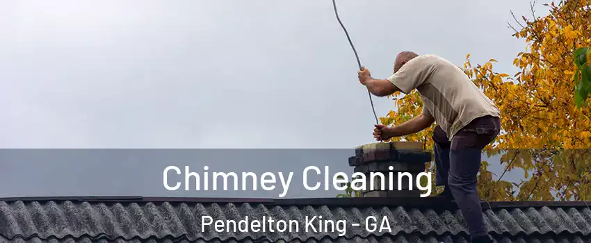 Chimney Cleaning Pendelton King - GA