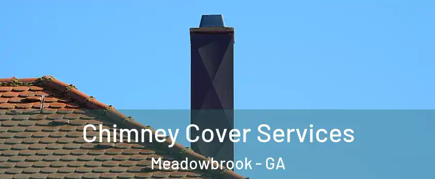 Chimney Cover Services Meadowbrook - GA