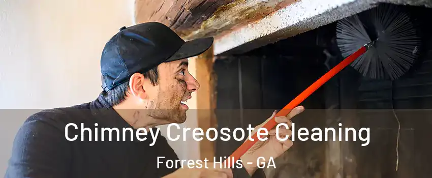 Chimney Creosote Cleaning Forrest Hills - GA