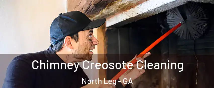 Chimney Creosote Cleaning North Leg - GA