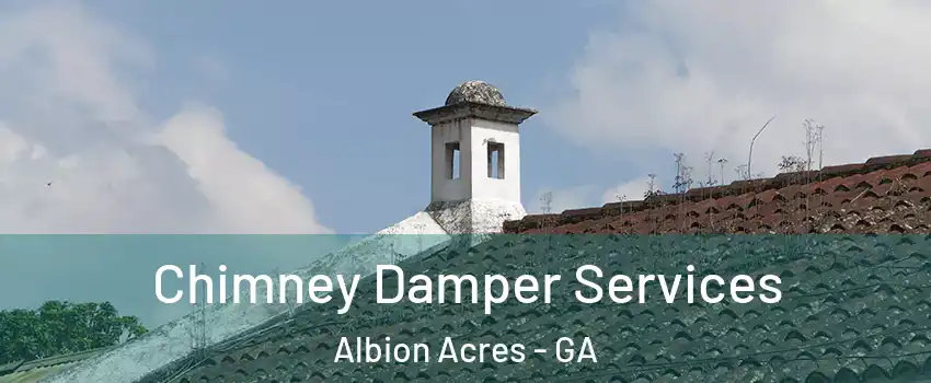 Chimney Damper Services Albion Acres - GA