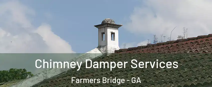 Chimney Damper Services Farmers Bridge - GA