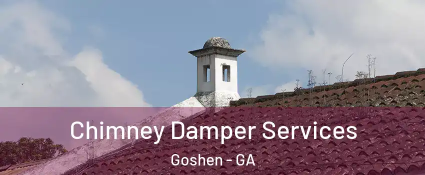Chimney Damper Services Goshen - GA