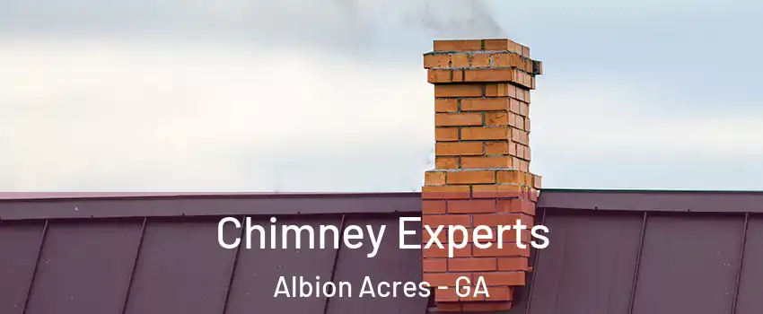 Chimney Experts Albion Acres - GA