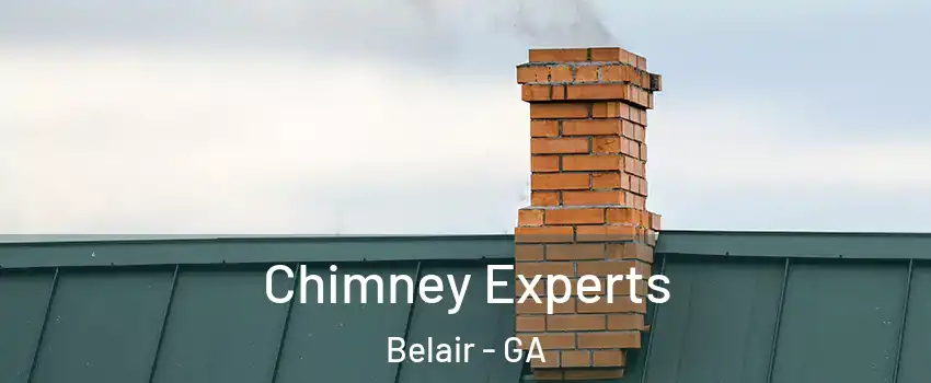 Chimney Experts Belair - GA