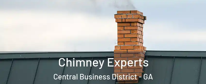 Chimney Experts Central Business District - GA