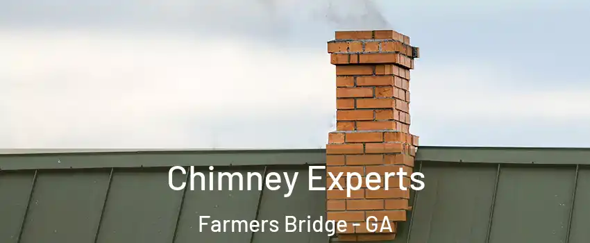 Chimney Experts Farmers Bridge - GA