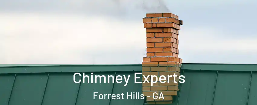 Chimney Experts Forrest Hills - GA