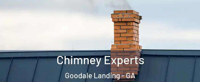 Chimney Experts Goodale Landing - GA