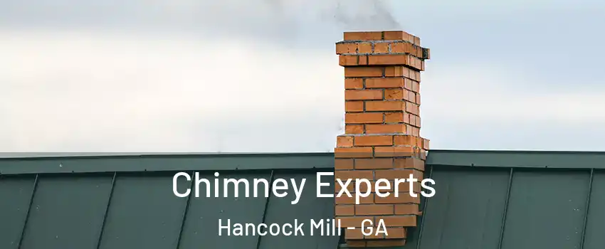 Chimney Experts Hancock Mill - GA