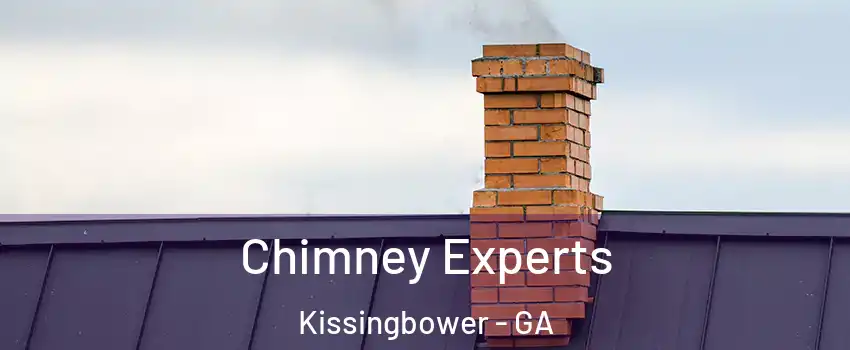 Chimney Experts Kissingbower - GA