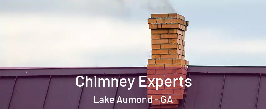 Chimney Experts Lake Aumond - GA