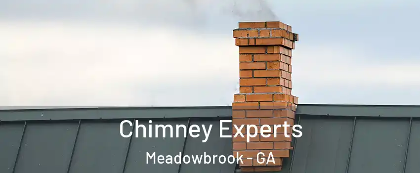 Chimney Experts Meadowbrook - GA