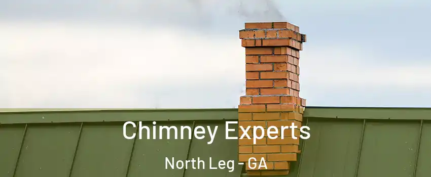 Chimney Experts North Leg - GA