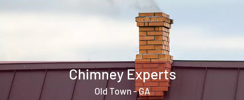 Chimney Experts Old Town - GA
