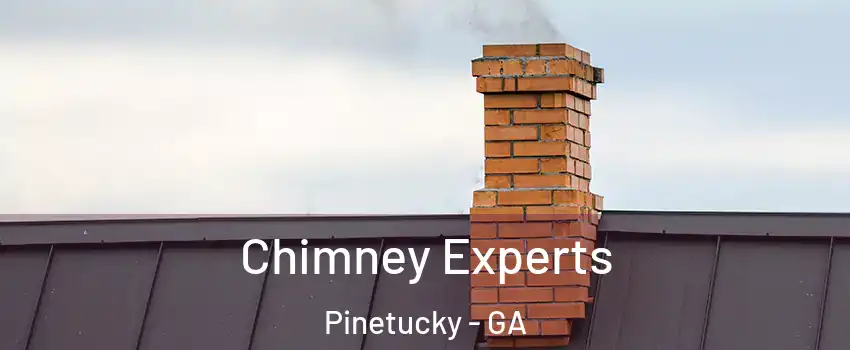 Chimney Experts Pinetucky - GA
