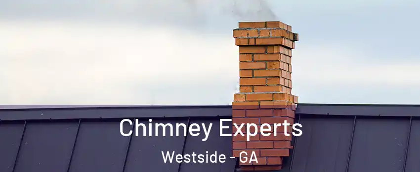 Chimney Experts Westside - GA